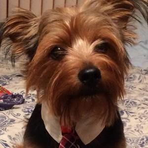 Meet your Posher, Ana